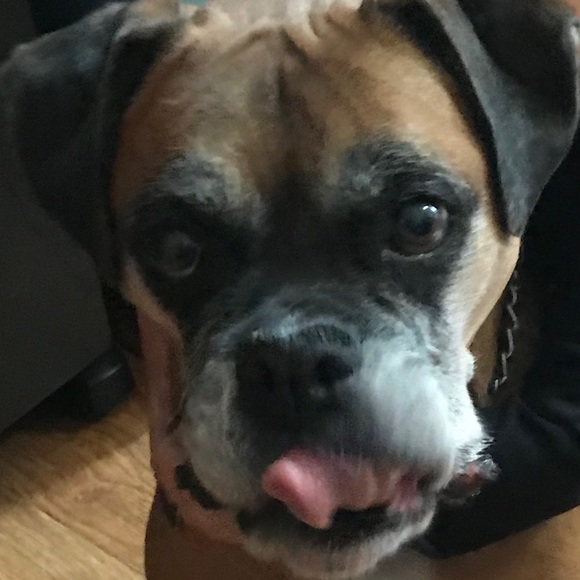 Meet your Posher, Memo - Picture 1 of 1